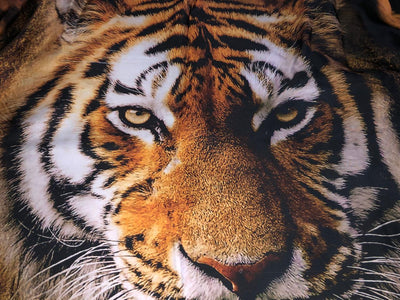 Satin 58" wide TIGER/LION/ANIMAL PRINTS available in 4 choice of prints